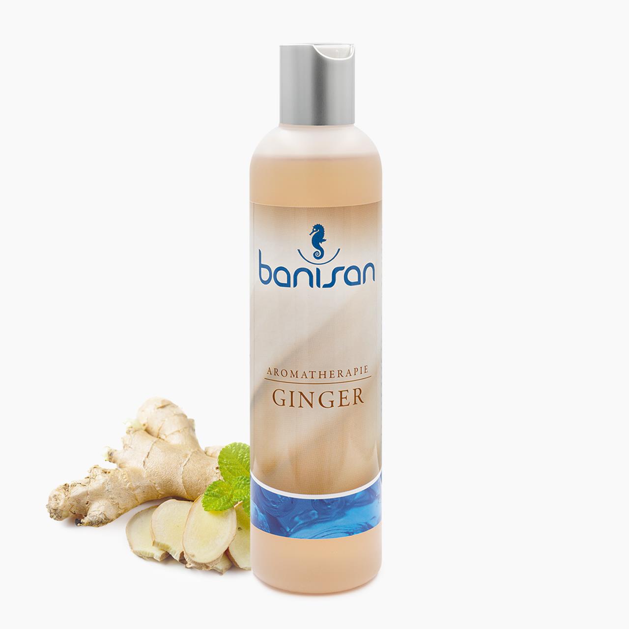 Whirlpool Badezusatz BANISAN - 250 ml - nicht schäumend - Ginger